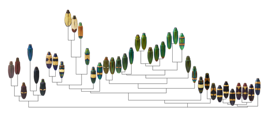 colordistance