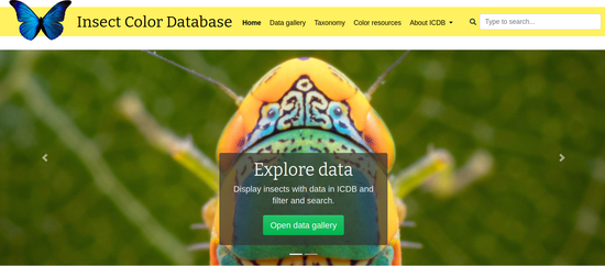 Insect Color Database